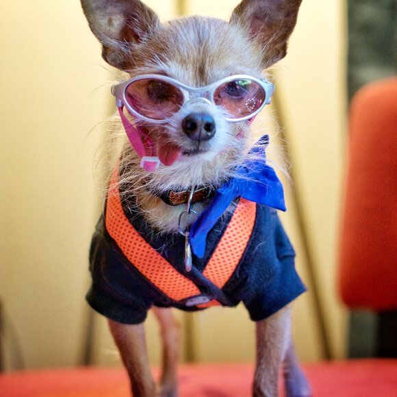 85% of textiles = 92 millions TONS a YEAR = LANDFILL. Let's Change That! - Picture 11 of 12